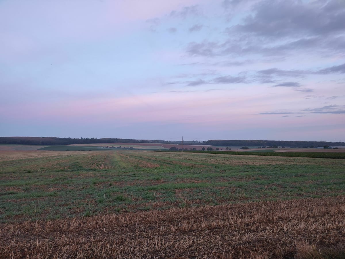 Au matin à la fraîcheur de Trescault - Trescault