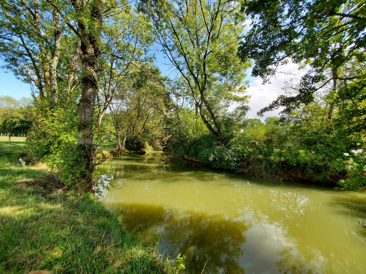 Balade bucolique au gré de la Vingeanne - Beaumont-sur-Vingeanne
