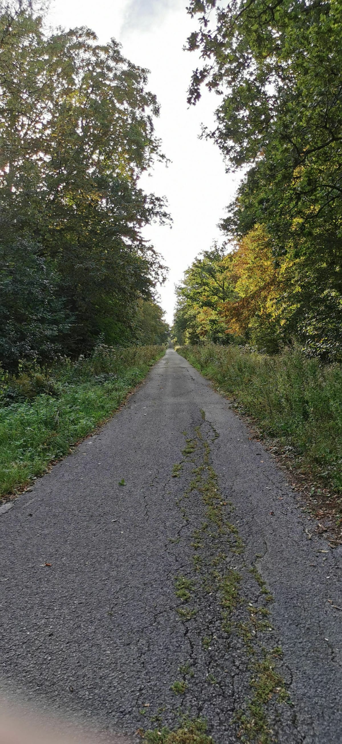 Sortie autour de Desvres Sud - Longfossé