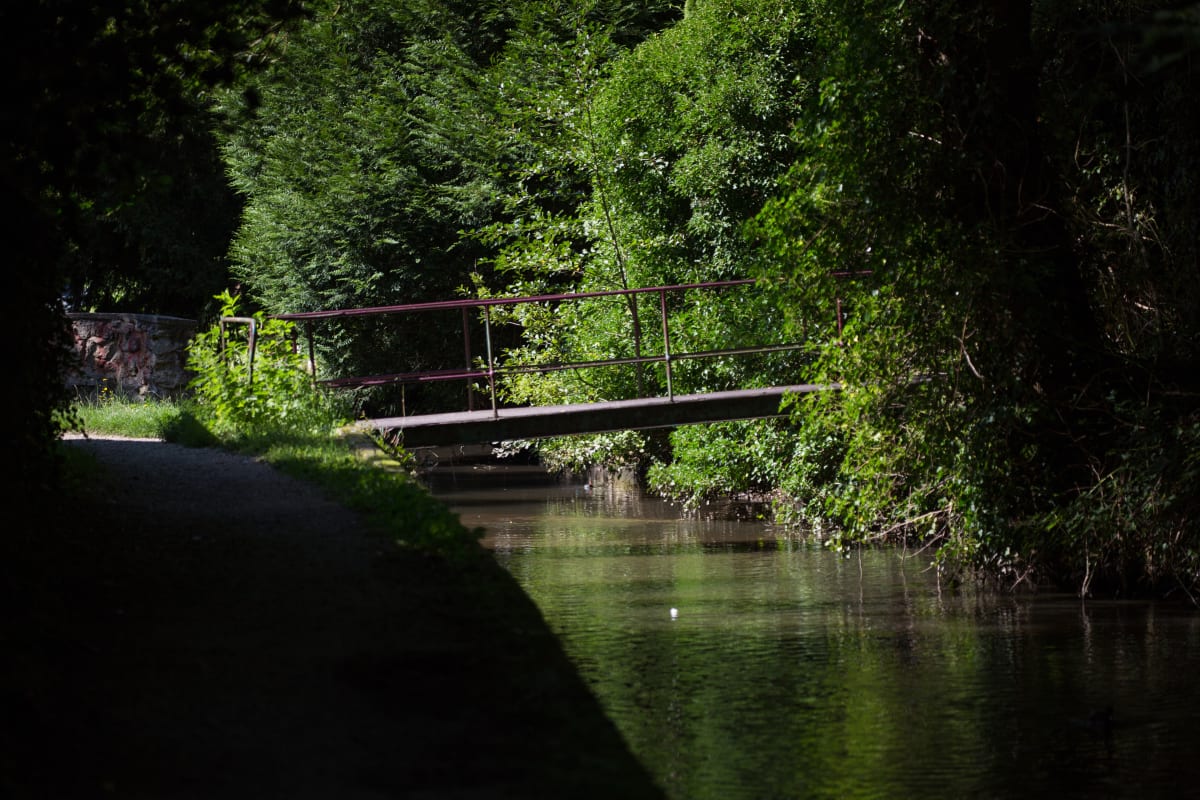 Les Deux Forêts - Dourdan