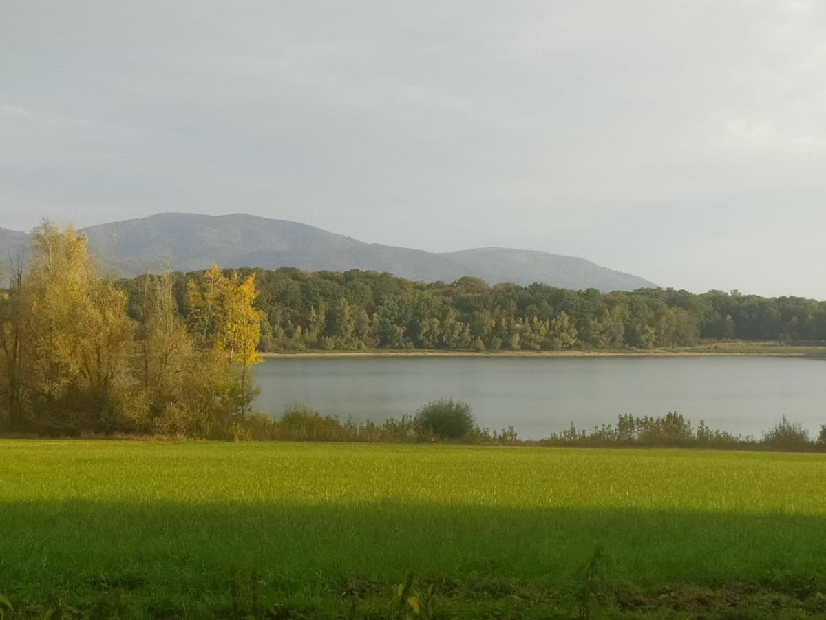 De Morschwiller-le-Bas au barrage de Michelbach en VTTAE - Morschwiller-le-Bas
