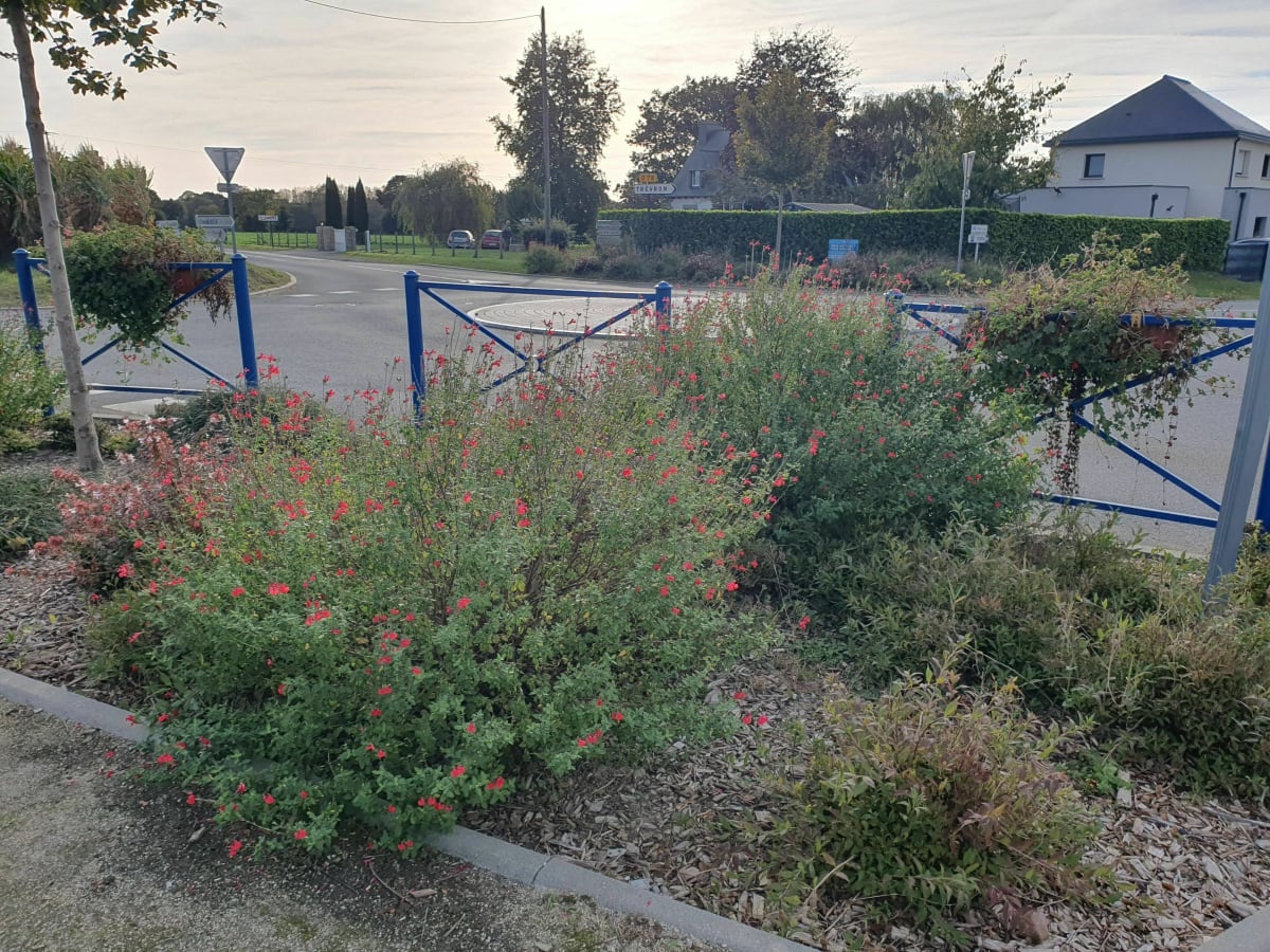 Balade autour de Saint Carné - Saint-Carné