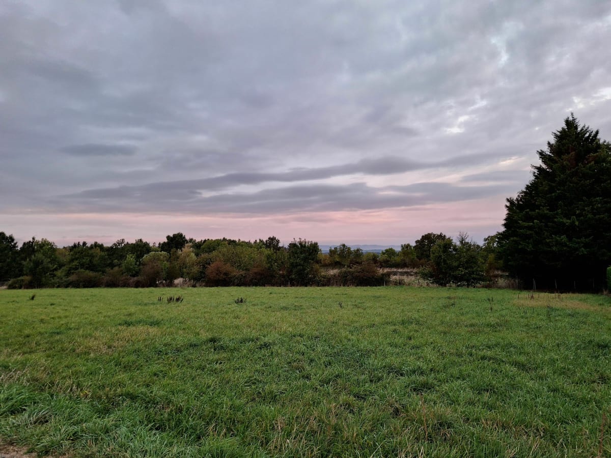 Superbes aurores et paysages à Moidieu-Détourbe - Moidieu-Détourbe