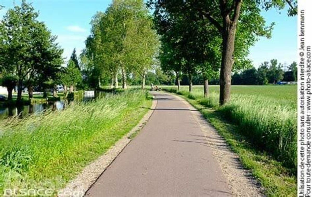 Sortie à vélo autour de Strasbourg - marine