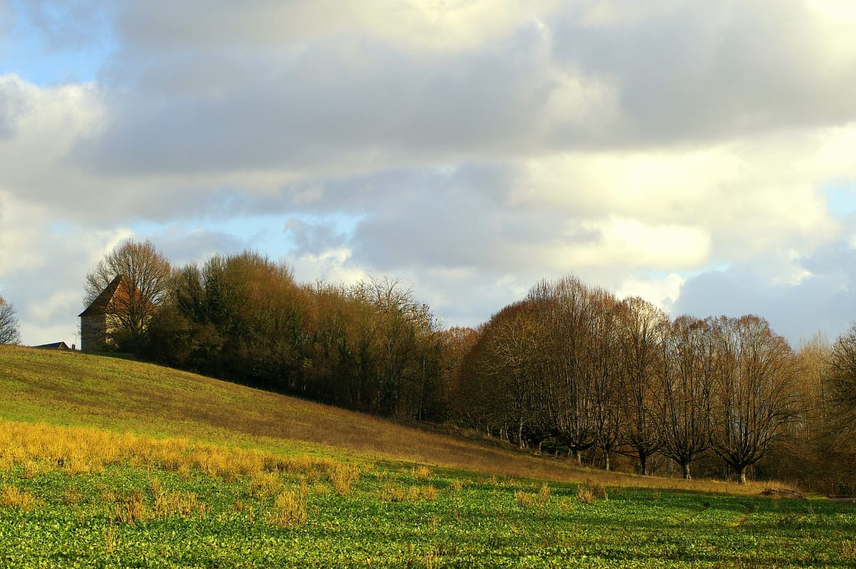 Boucle champêtre autour du plan d'eau de Ligny - Pouligny-Notre-Dame