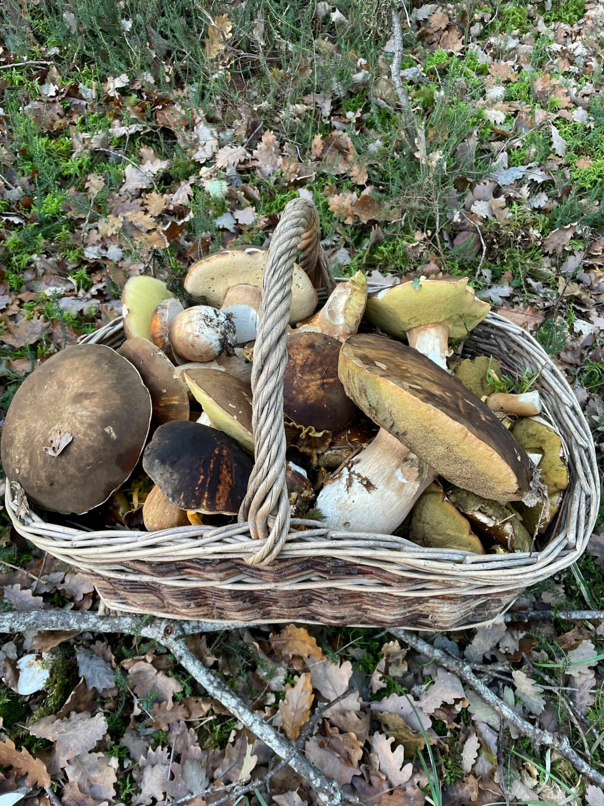 Au cœur de notre campagne parmi les châteaux - Pleumartin