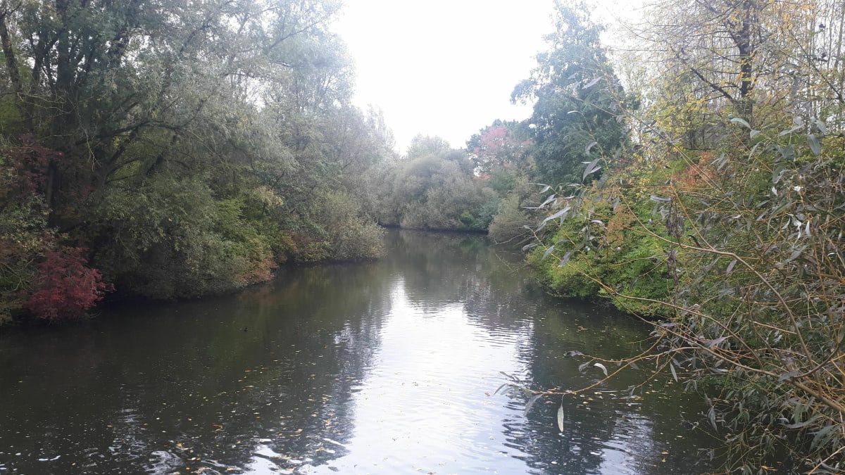 Boucle du lac du Héron à la marque, retour par les villages - Villeneuve-d'Ascq