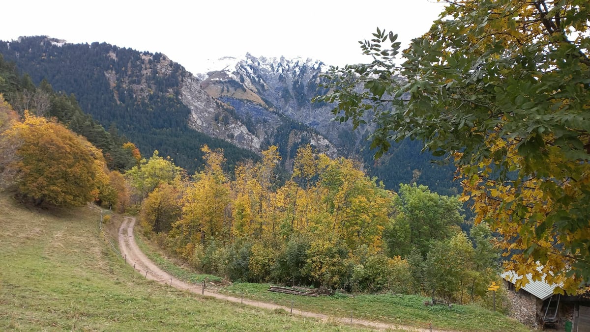Saint Jean de Maurienne - Montbéranger. VTT - Gilles