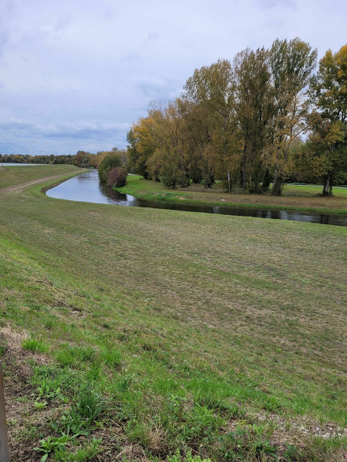 Entre Rhin et forêt - La Wantzenau