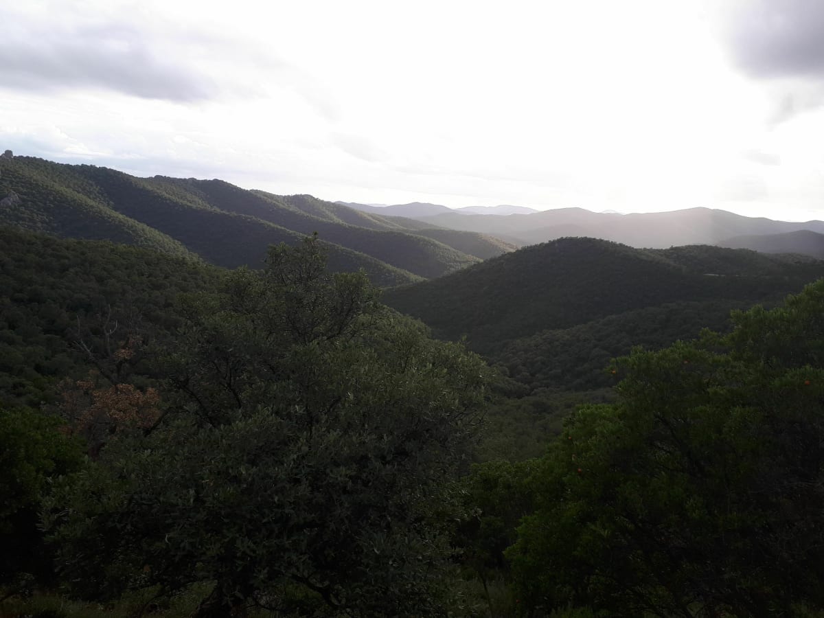 Du massif des Maures à la mer et Port Maravenne à VTT - Pierrefeu-du-Var