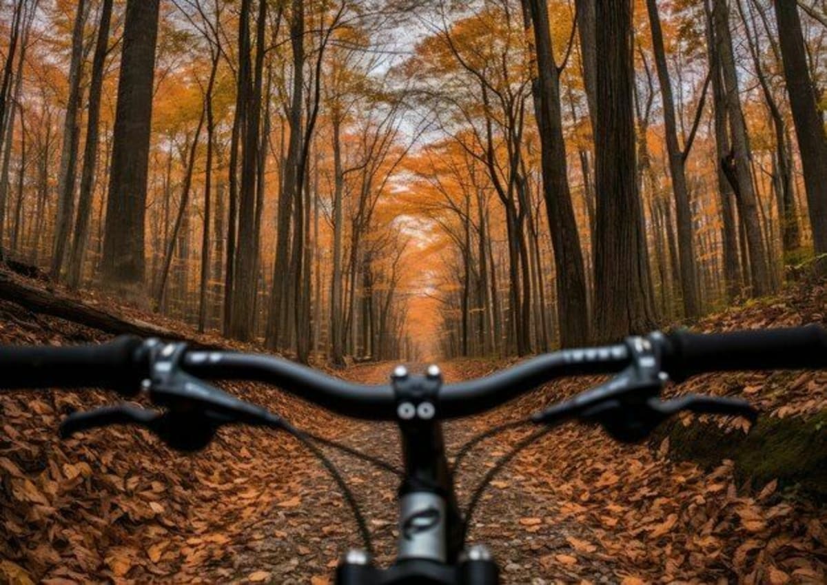 Sortie VTT autour d'Hagenbach, par Eglingen, Ammertzwiller et et Gildwiller sur le Mont - Hagenbach
