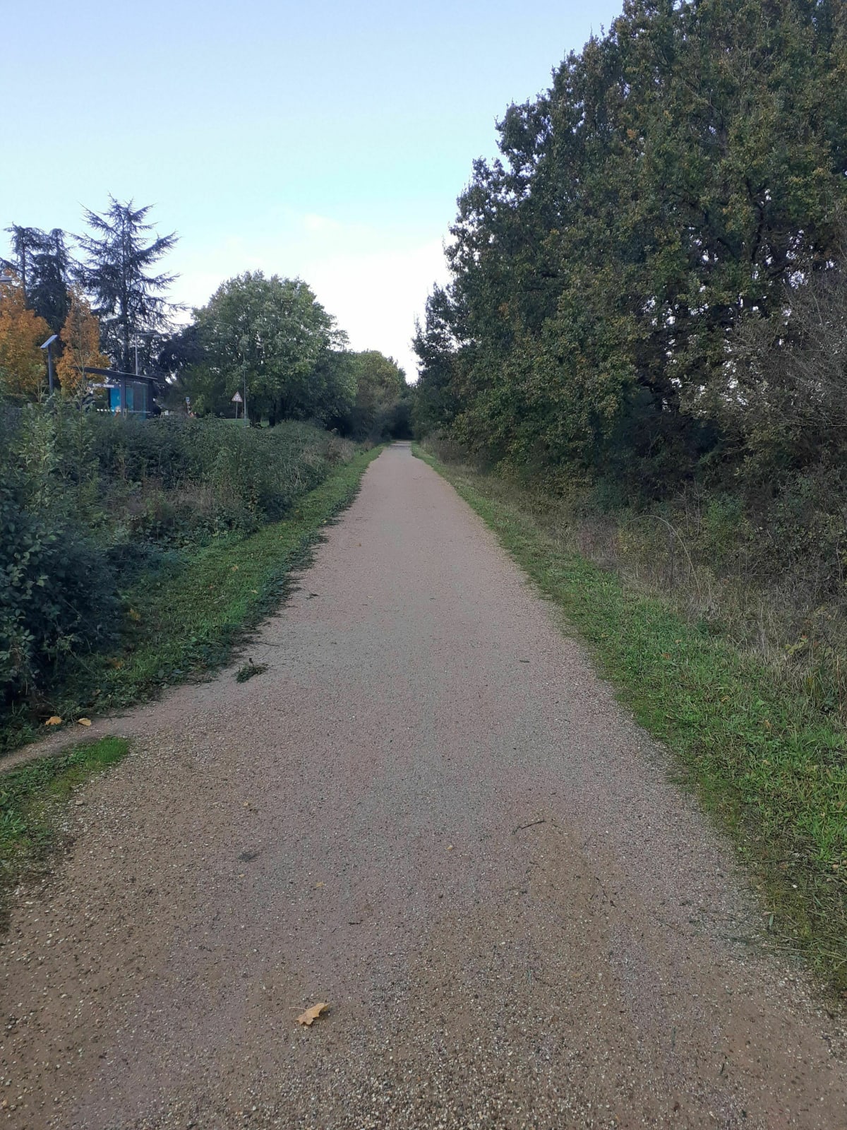 Sortie automnale autour d'Avrillé - Thomas