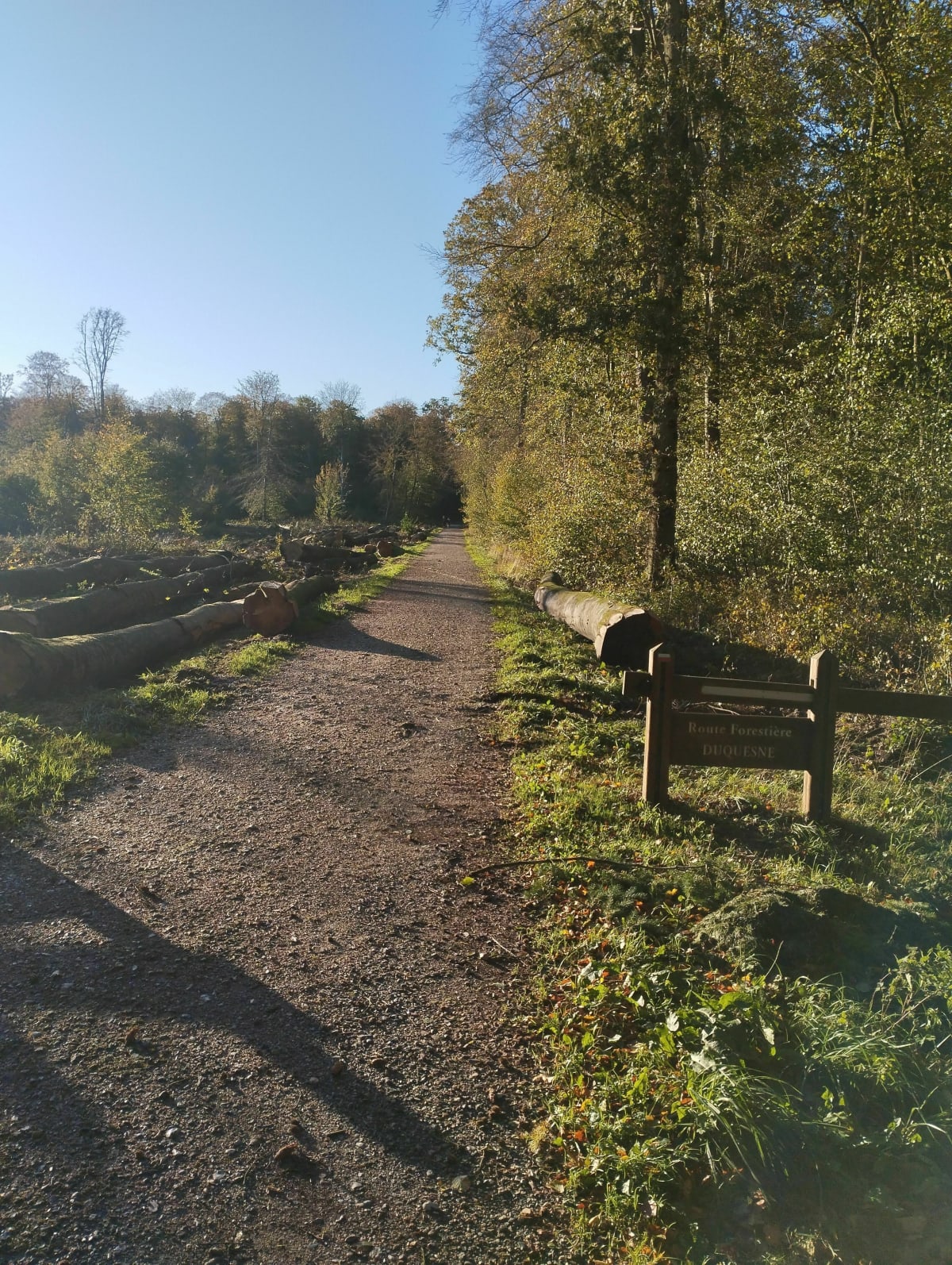 Sortie VTT en forêt d'Arques depuis Saint-Nicolas - Saint-Nicolas-d'Aliermont
