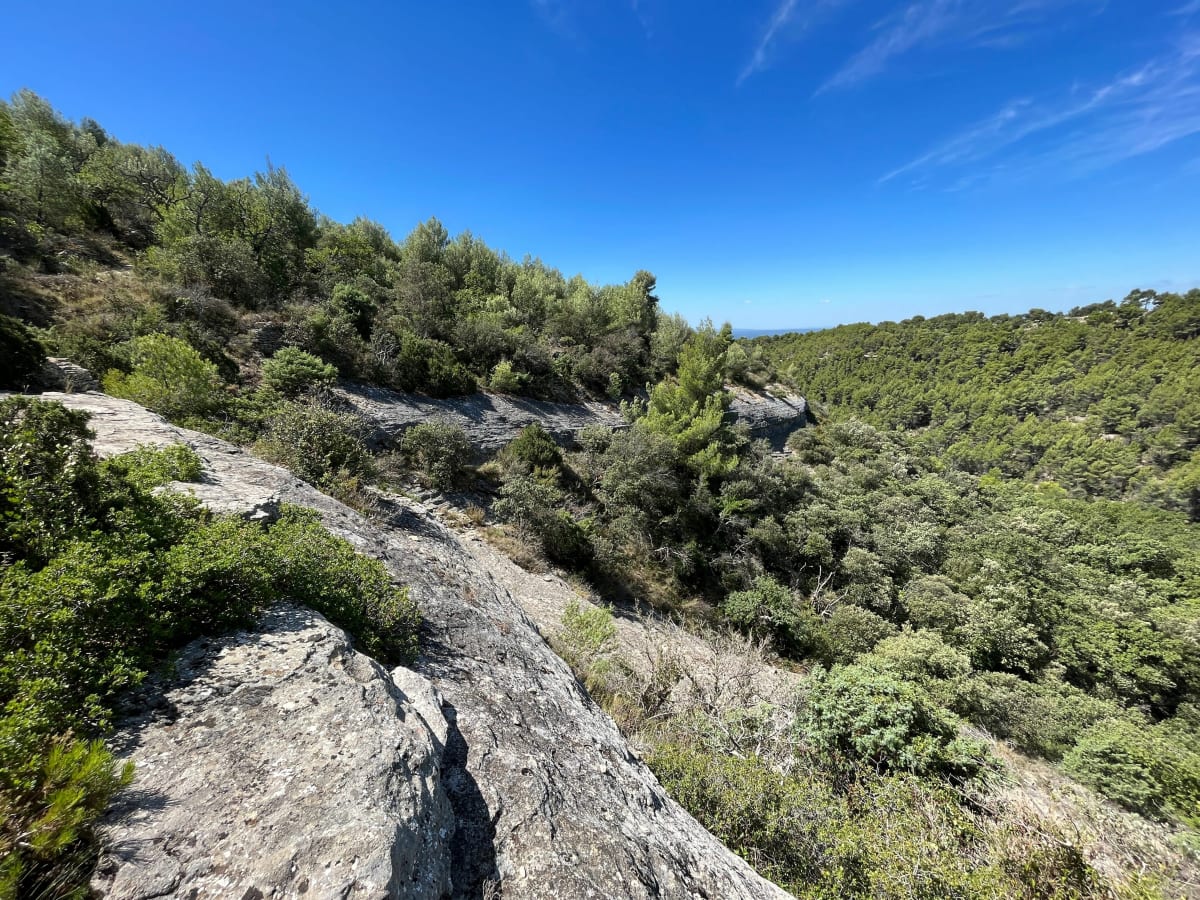 Balade en forêt en partant du château de Saumane - Saumane-de-Vaucluse