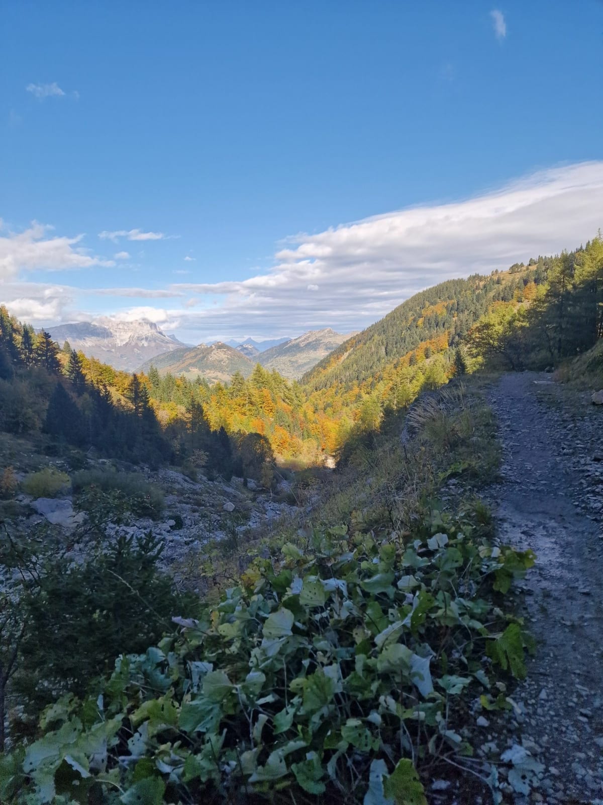 VTT par la Cabane du Grand Veymont et tour de Gresse-en-Vercors - Gresse-en-Vercors