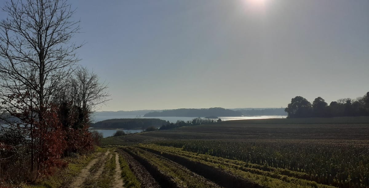 Saint-Jouan-des-Guérets et Pointe du Grouin - Saint-Jouan-des-Guérets