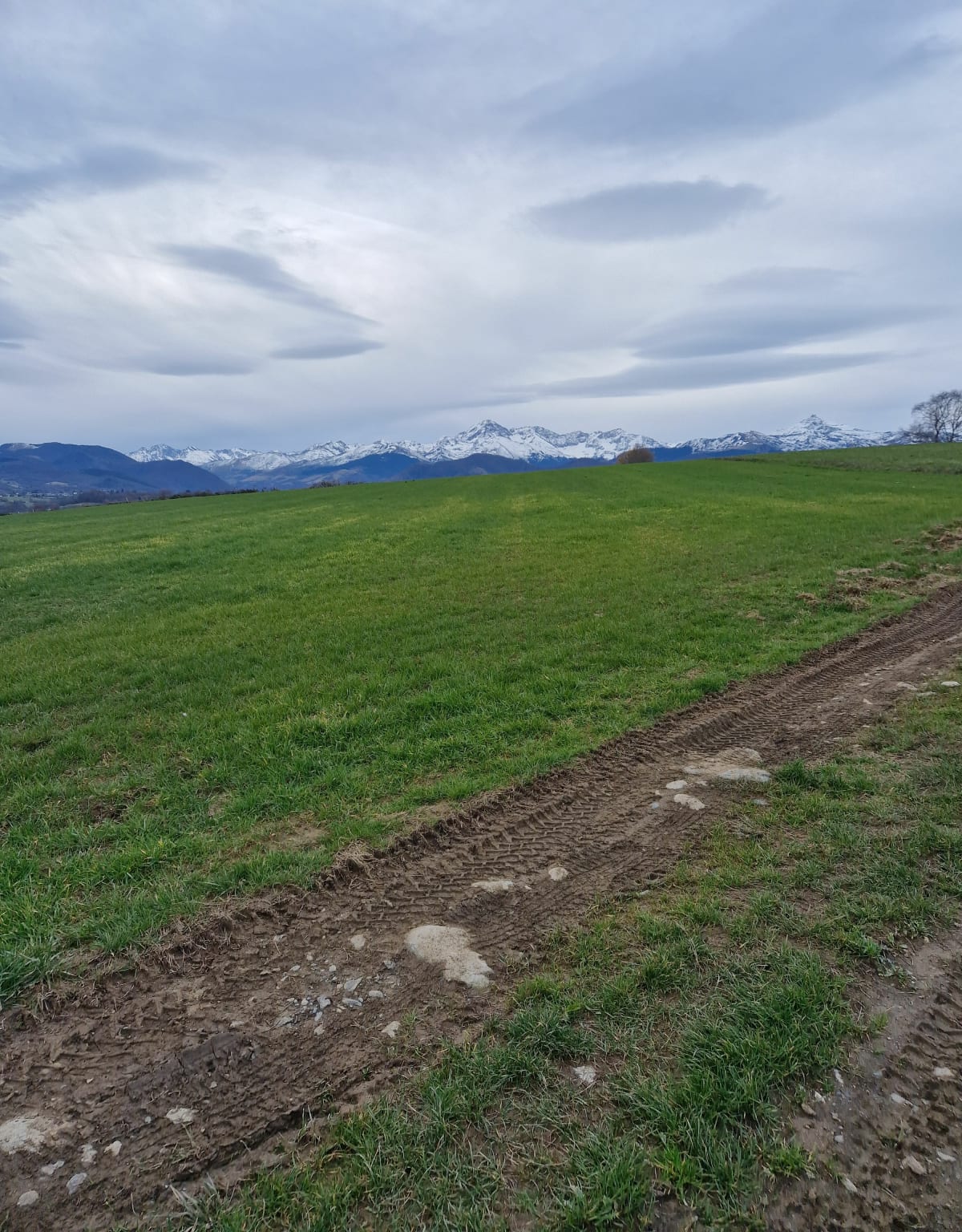 De Cieutat à Montignac - Cieutat