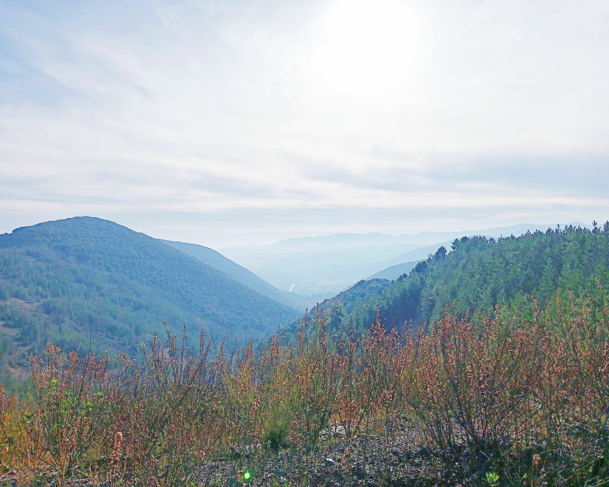 Promenade de santé sur les hauteurs de Pradel - Laval-Pradel