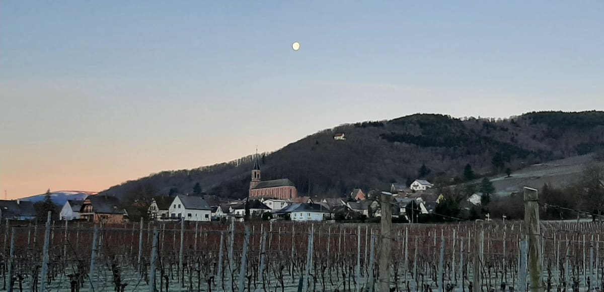 Boucle autour de Gunbach - Wihr-au-Val