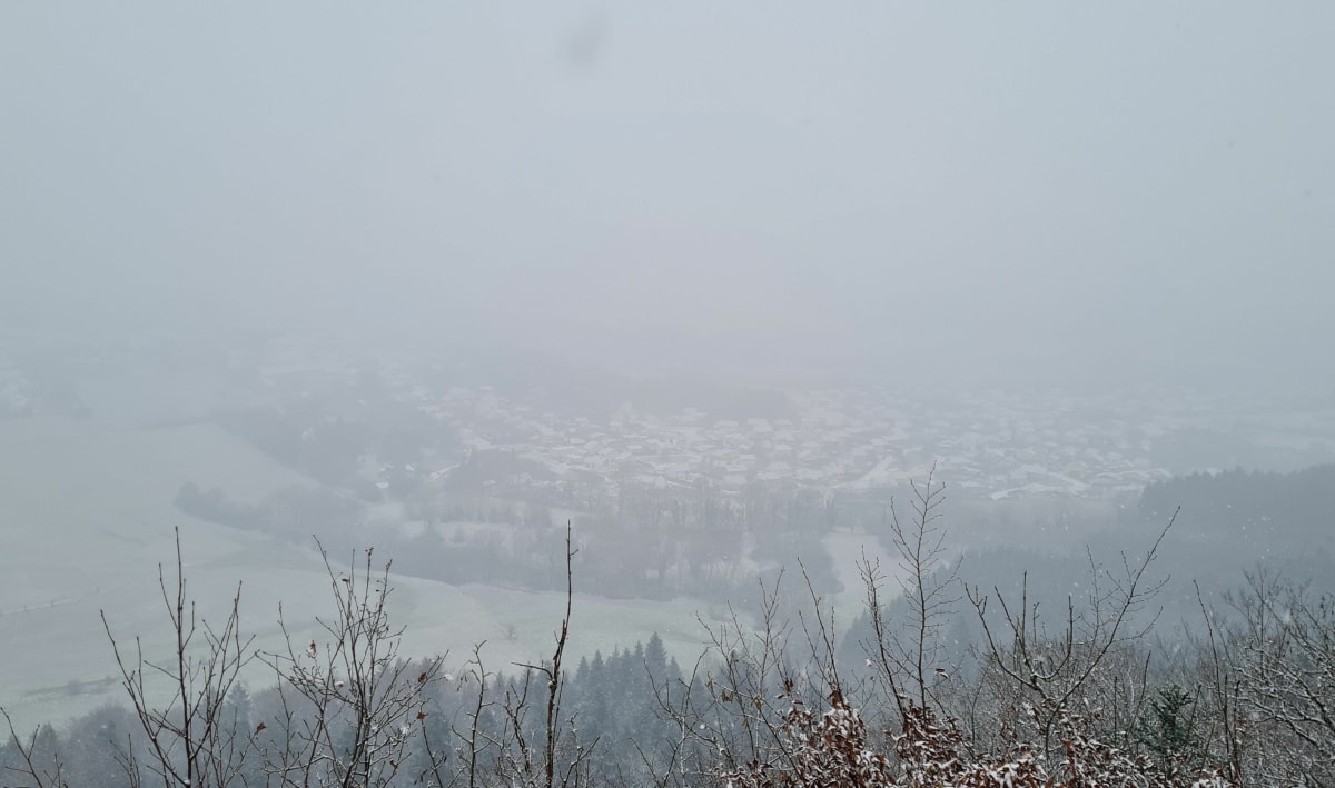 Montée du Bénédegand à Ney - Ney