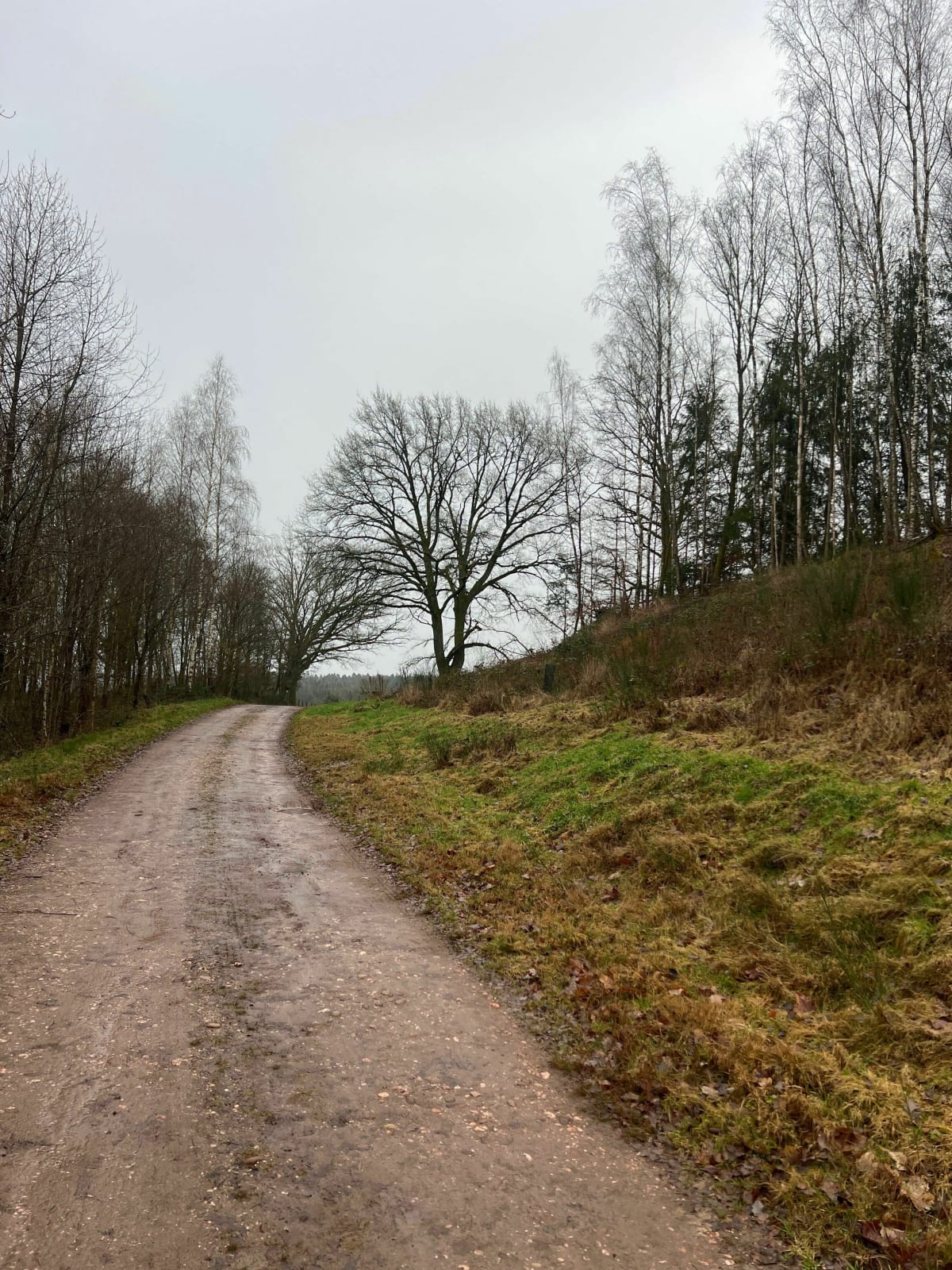 Champ de tir à Baccarat - Cyril