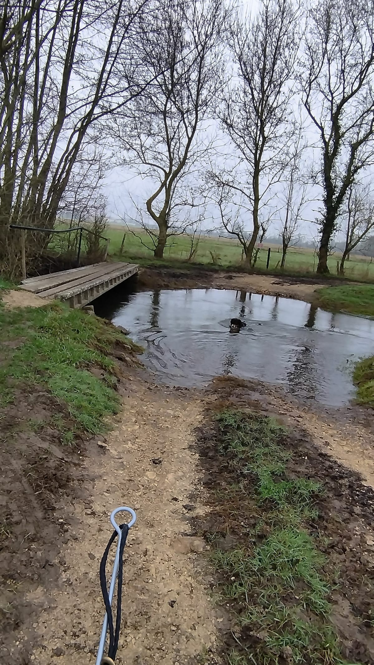 VTT ou  Vtc à Perigné - Périgné
