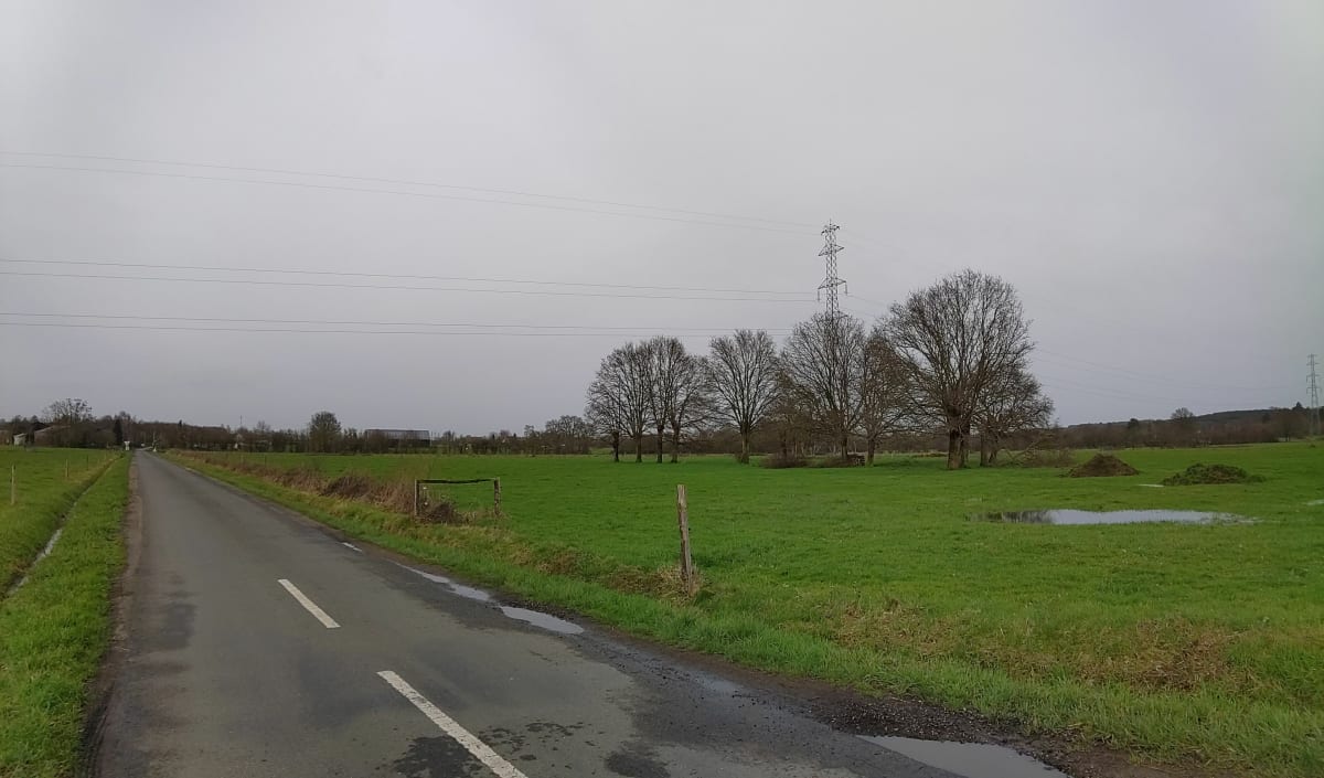 Boucle en campagne de Parigné, par les Sapins de la Saule, vers le sud-ouest - Parigné-l'Évêque