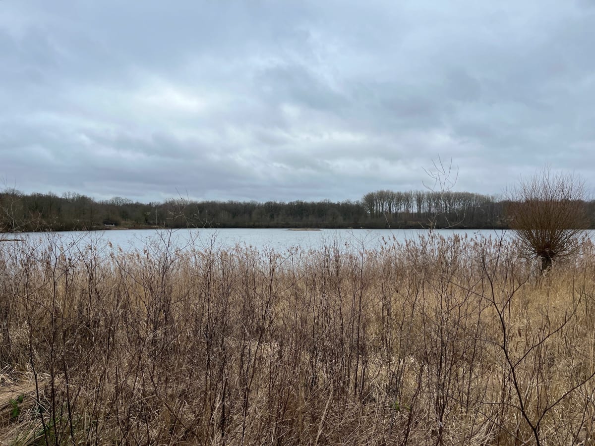 Bois des Cinq Tailles - Audrey
