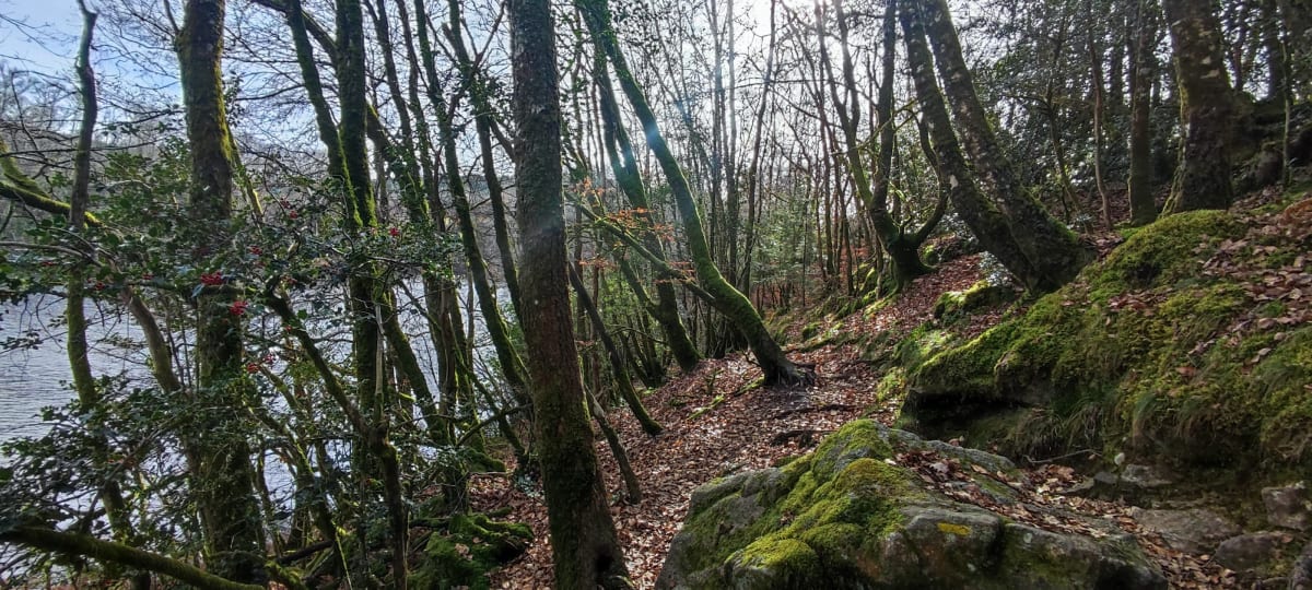 Boucle des Daumier - Saint-Pardoux-le-Lac