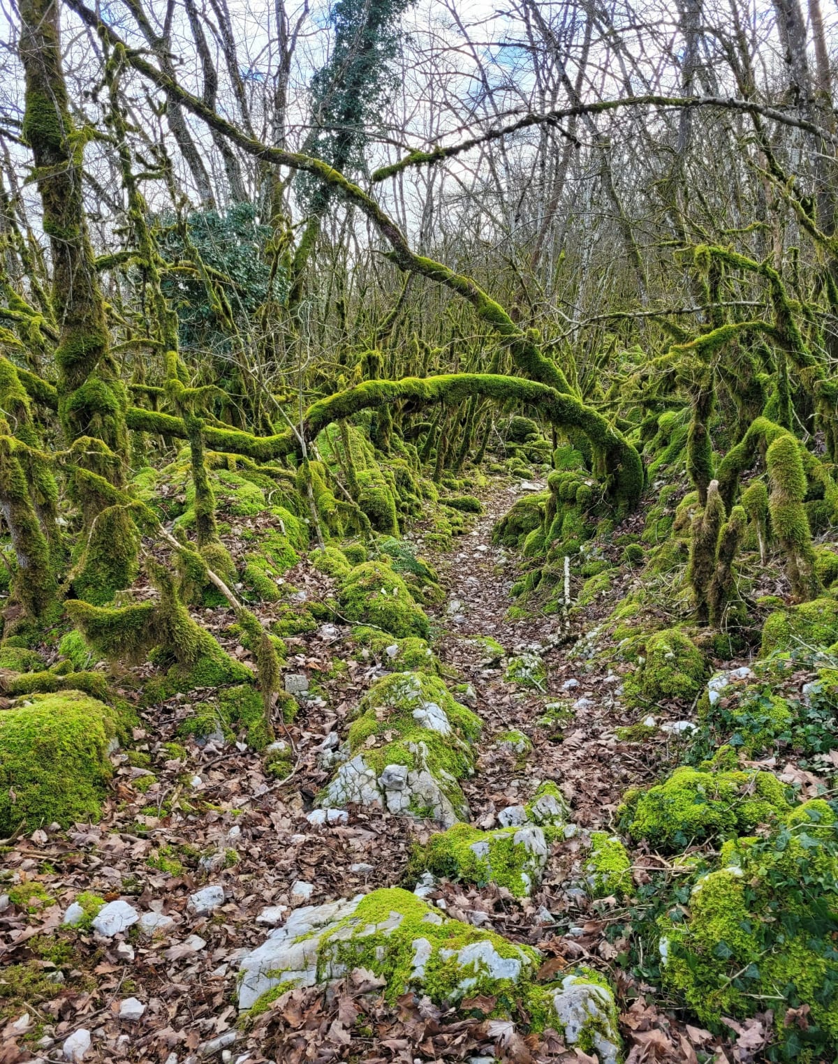 De Plantaglay à Sanciat - Meillonnas