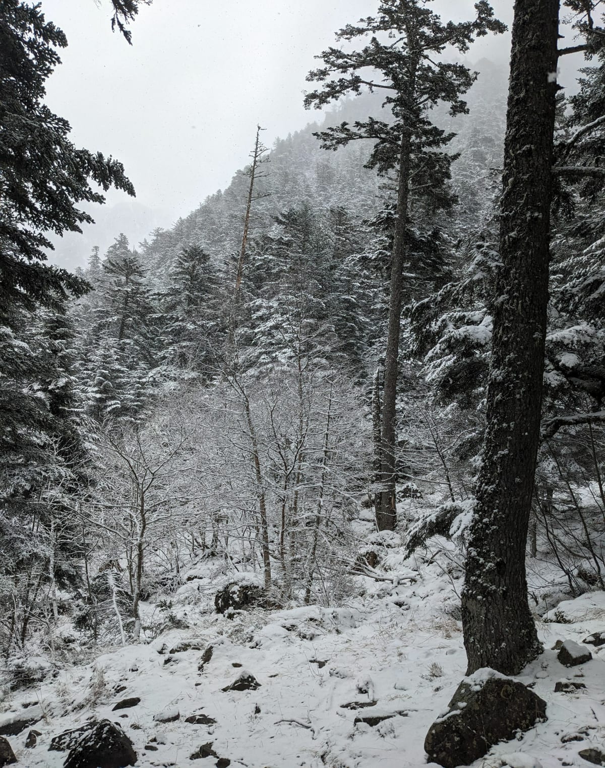 Vers le plateau de Marcadau et Cayan - Cauterets