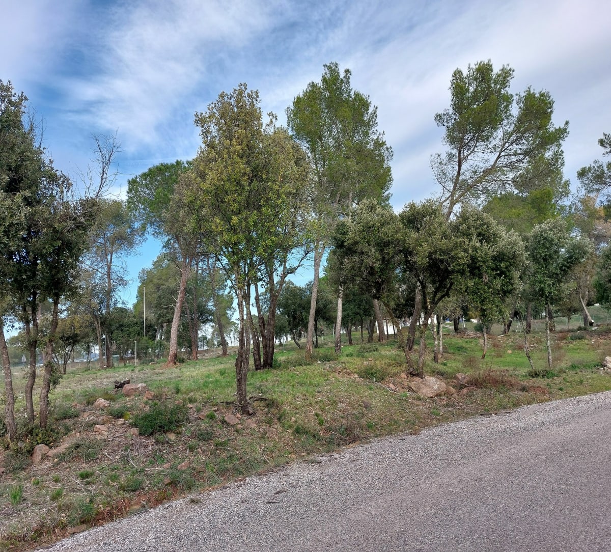Sortie vtt depuis Le Luc - Dominique