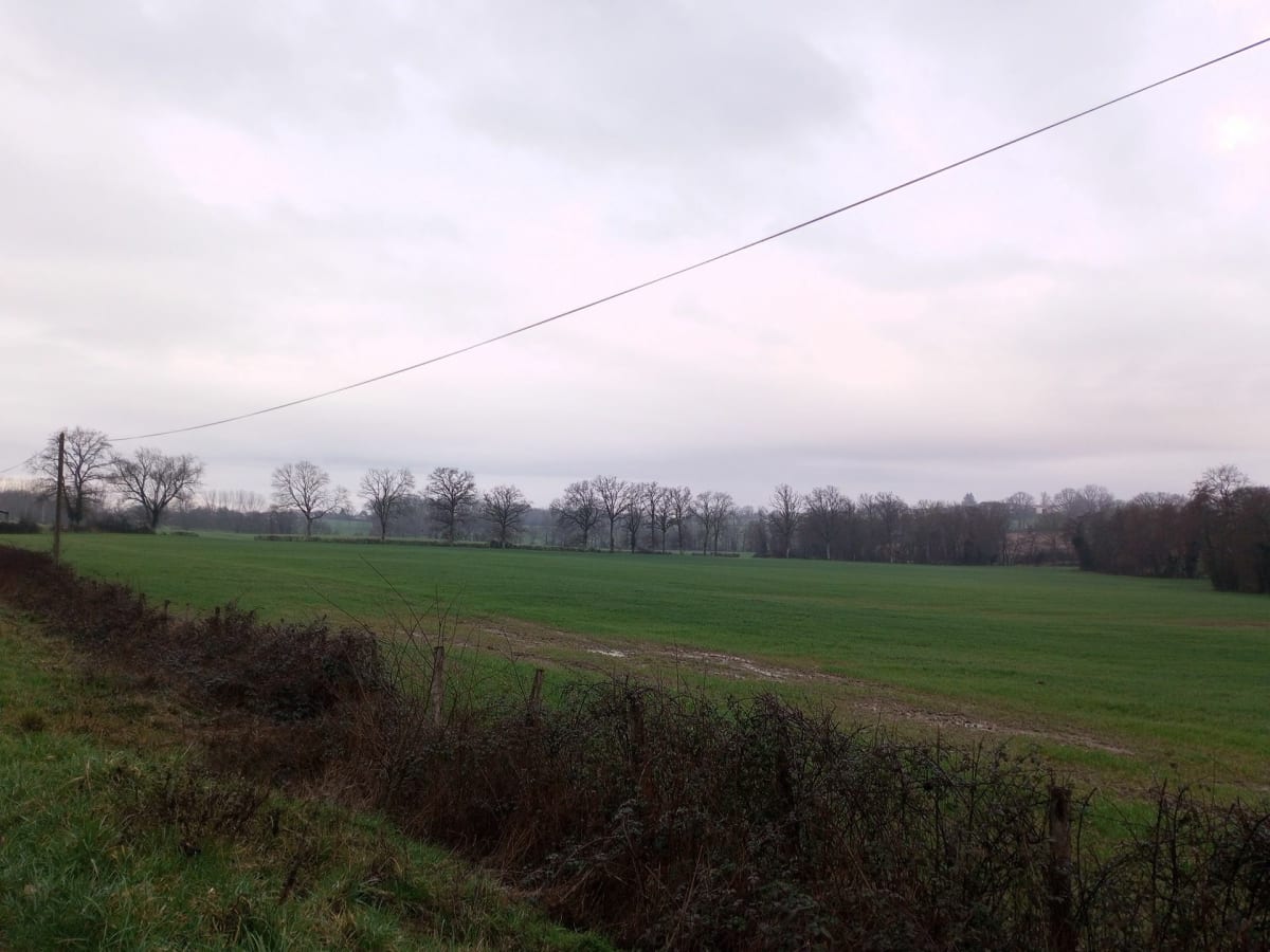 Montracol Montcet par les bois - Montcet
