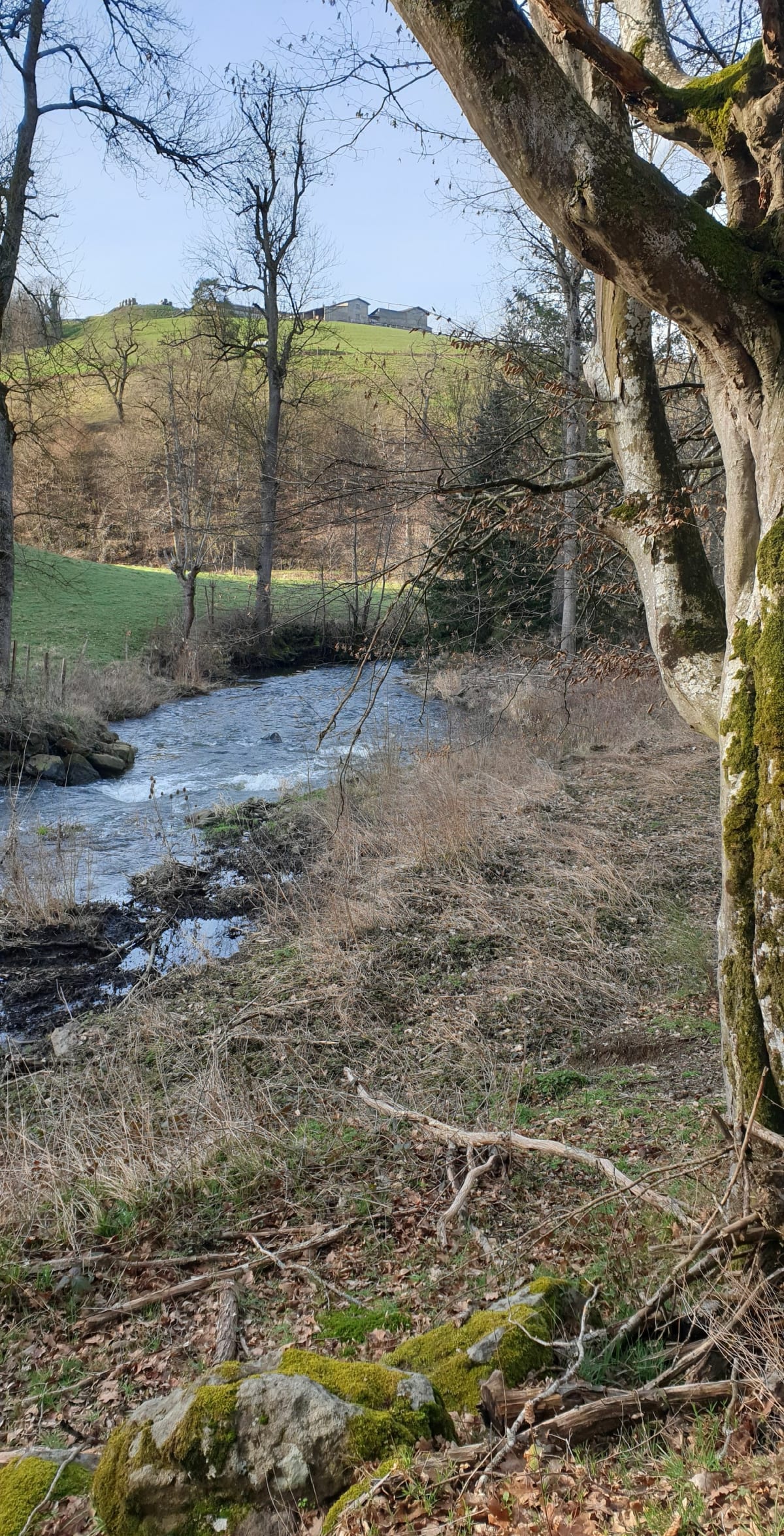 Entre route et chemins à Chevrières - Chevrières