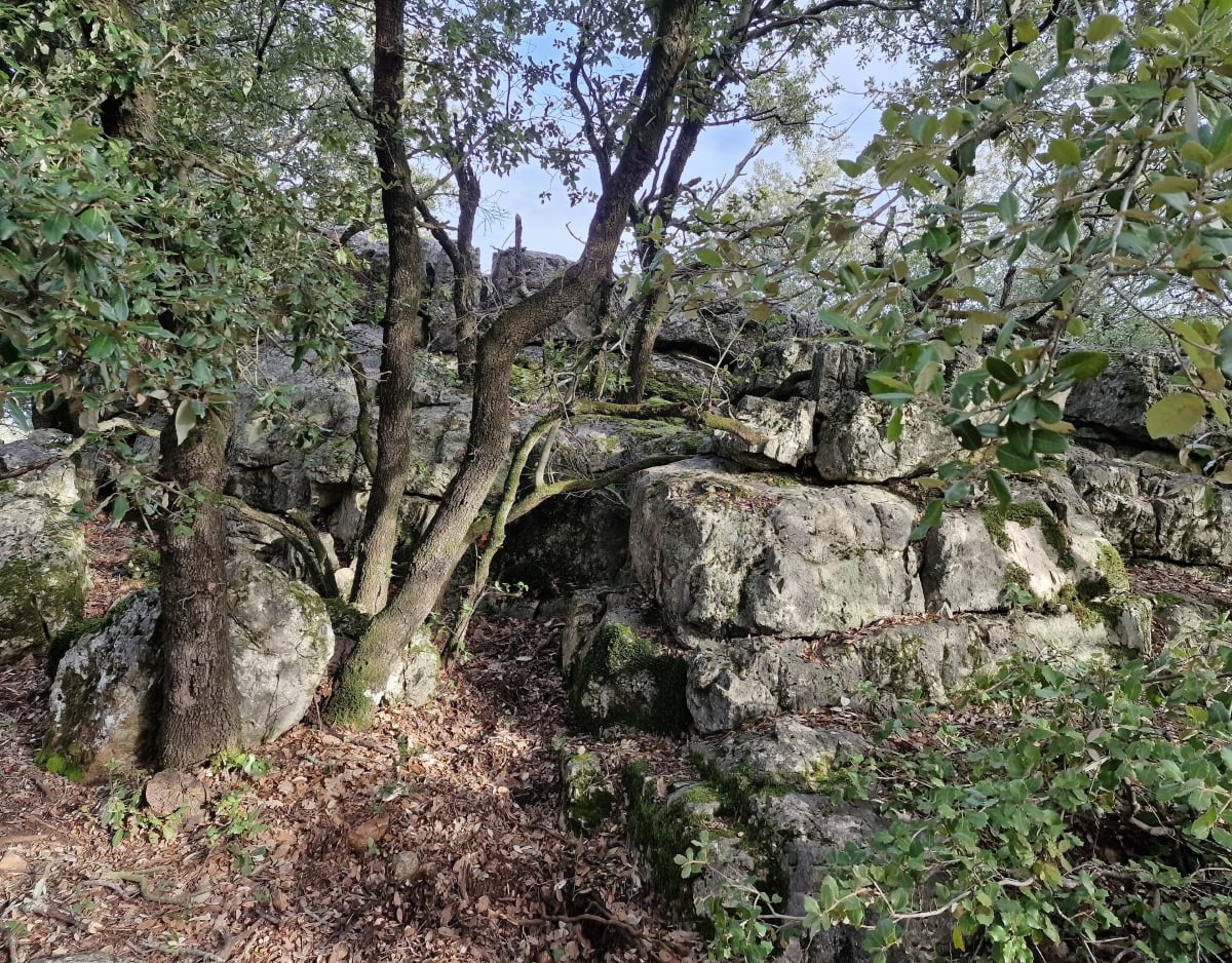 Randonnée autour de la Grotte de la Baume Féré - La Roquebrussanne