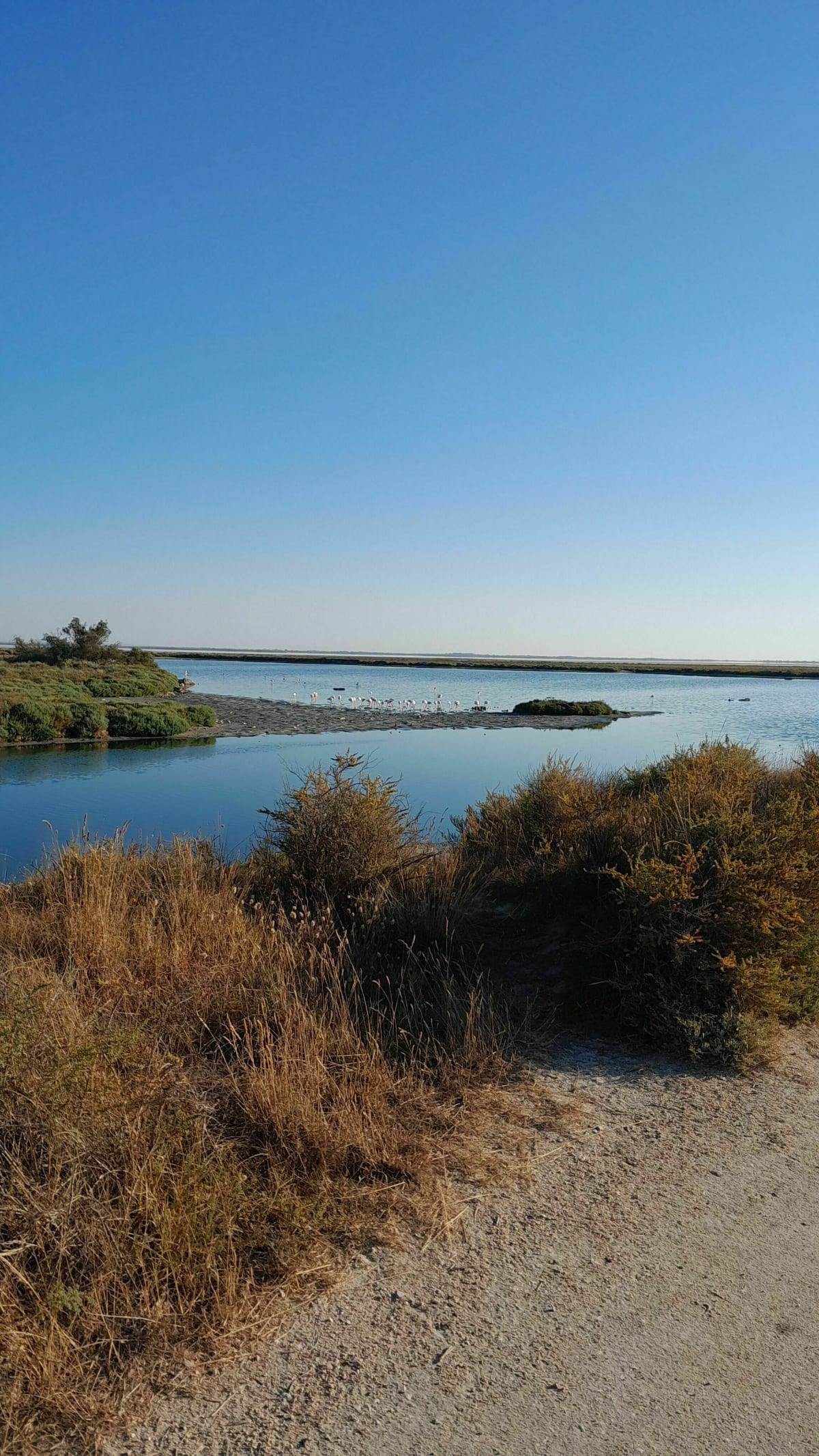 Sortie VTT dans le parc national de Camargue. - Daniel