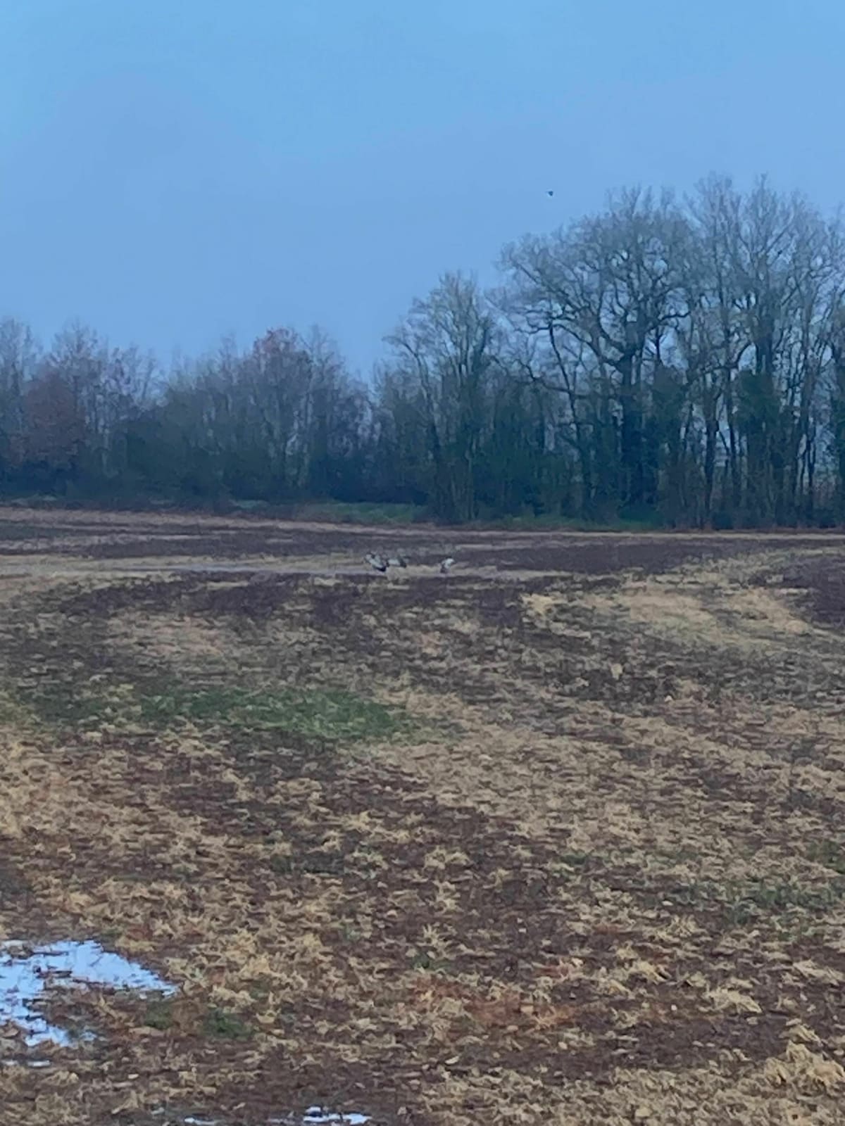 VTT Vaux-Rouillac - Vaux-Rouillac