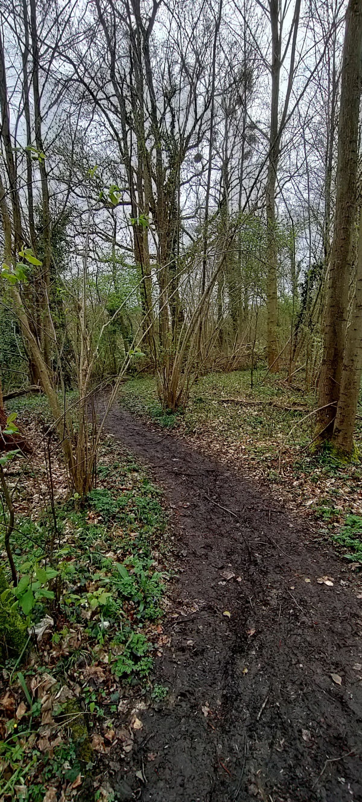 Sentier des Romains à la réserve du Courlis - Gerstheim