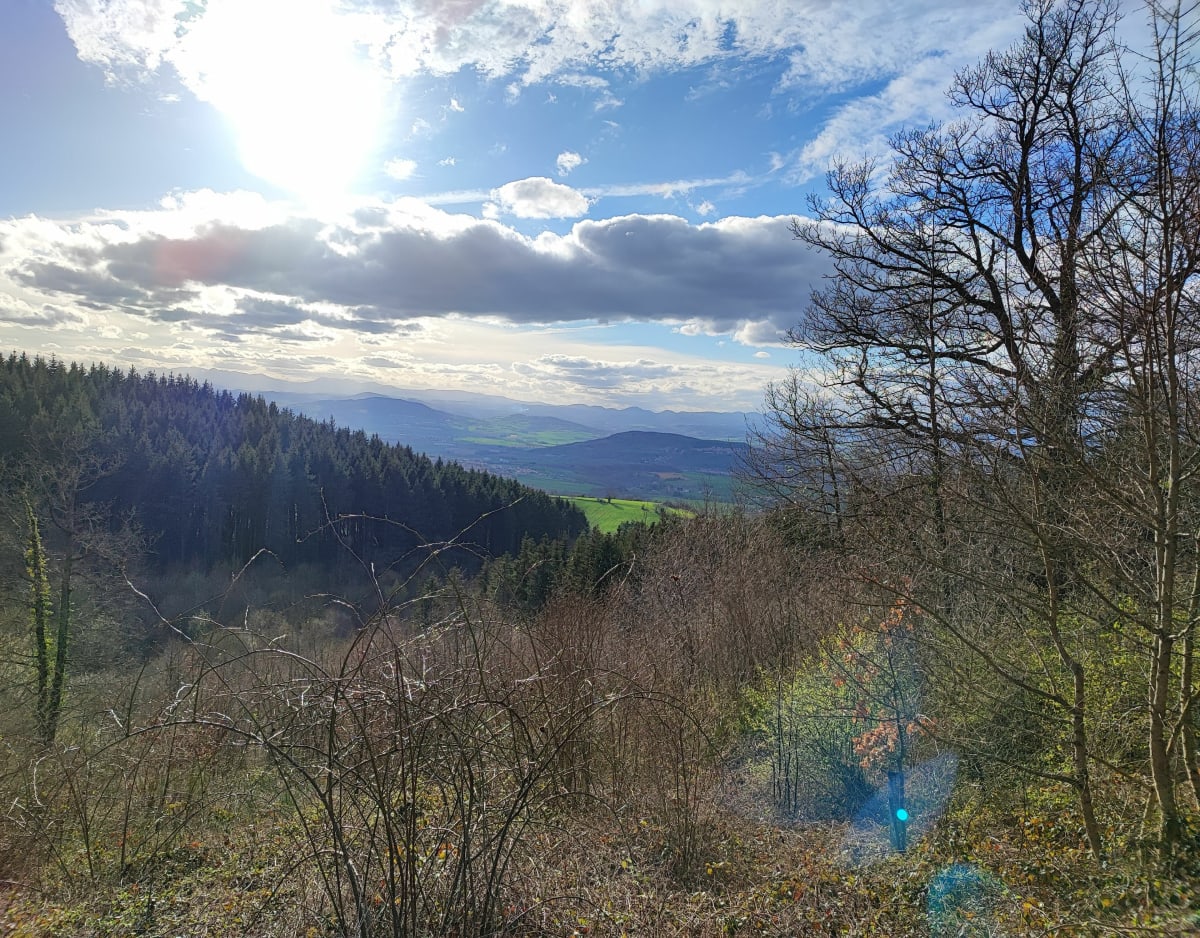 Autour de Pignols - Pignols