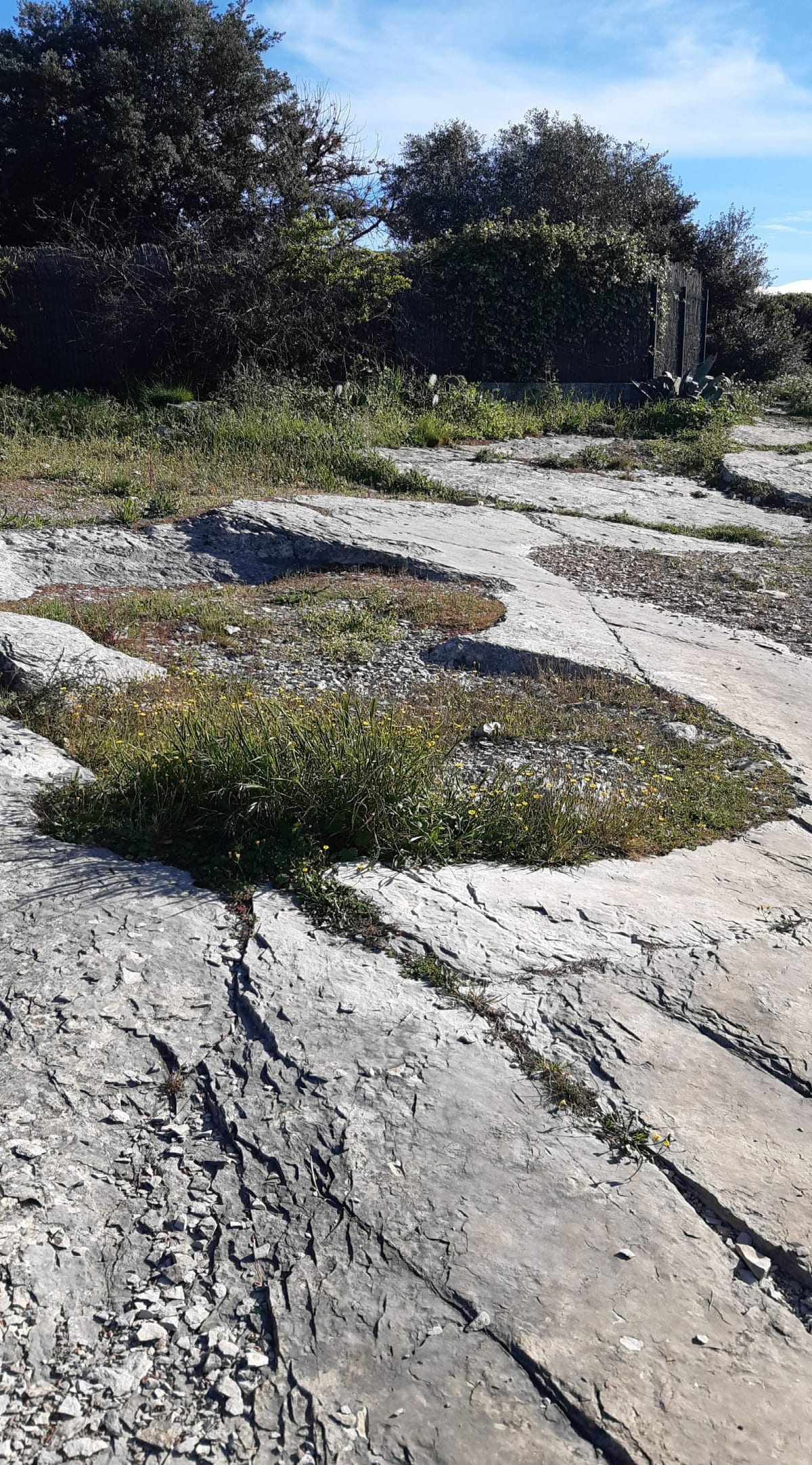 Le Crès: Lac, forêts, panorama, vigne et ancienne meulière. - DANIEL