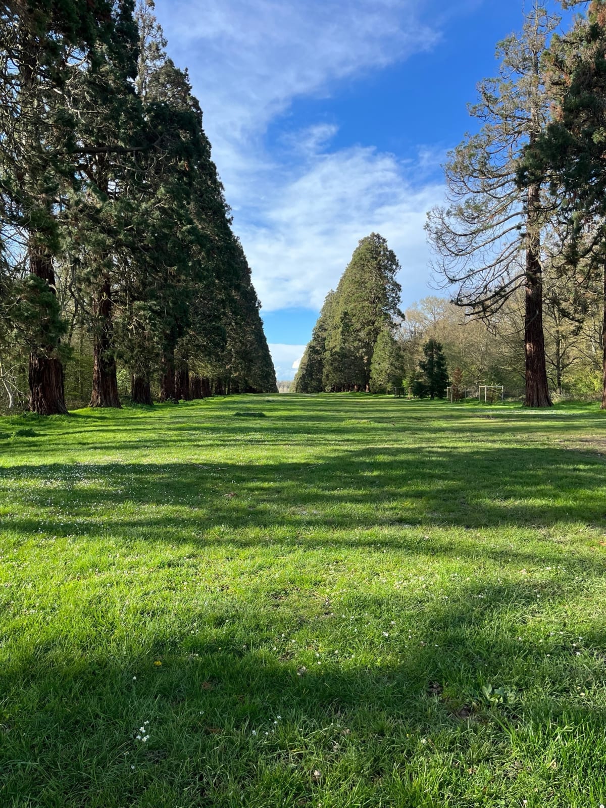 Parc de Villeroy, depuis Quattuor Tempora - Mennecy