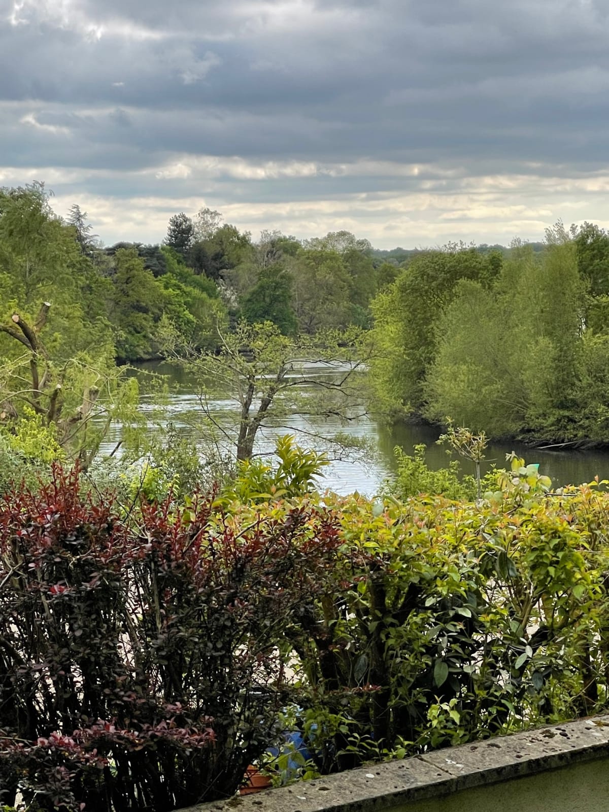 Promenade le long de la Sarthe - Sablé-sur-Sarthe