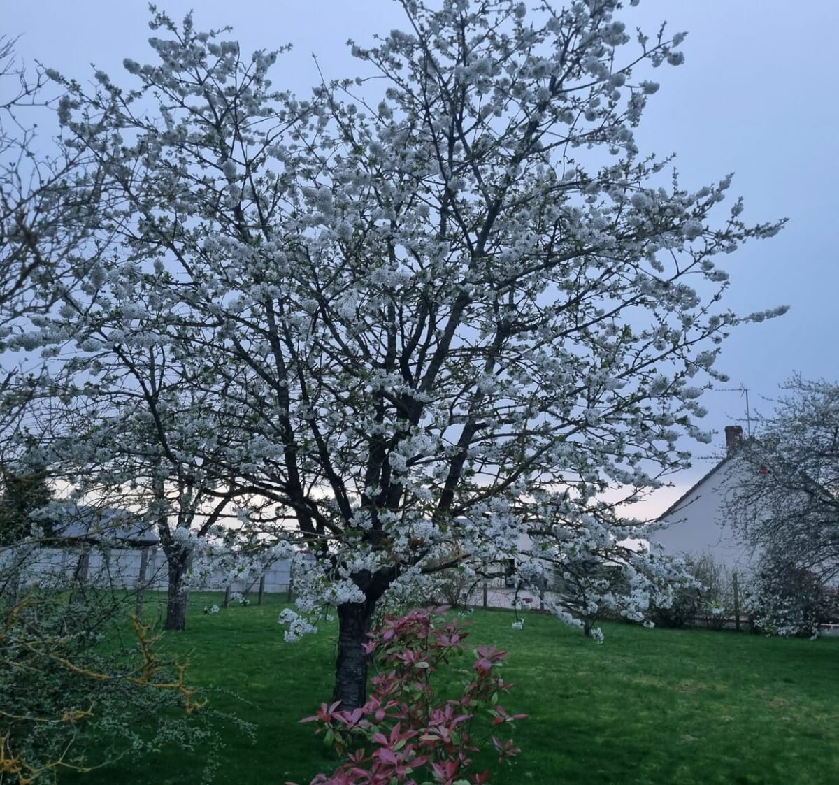 Boucle d'Ezerville à Marsainvilliers - Stephanie