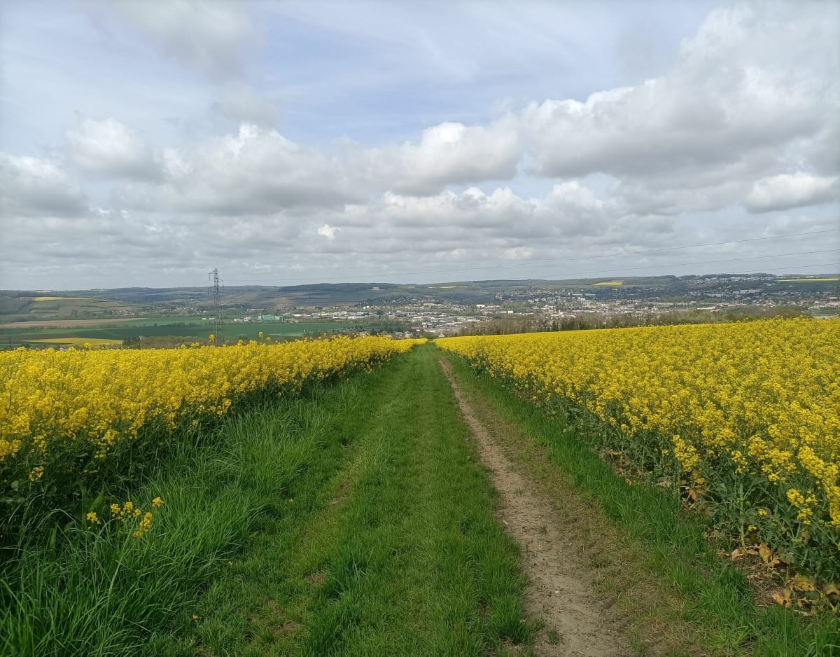 Sur les hauteurs d'Étampes-sur-Marne - Étampes-sur-Marne