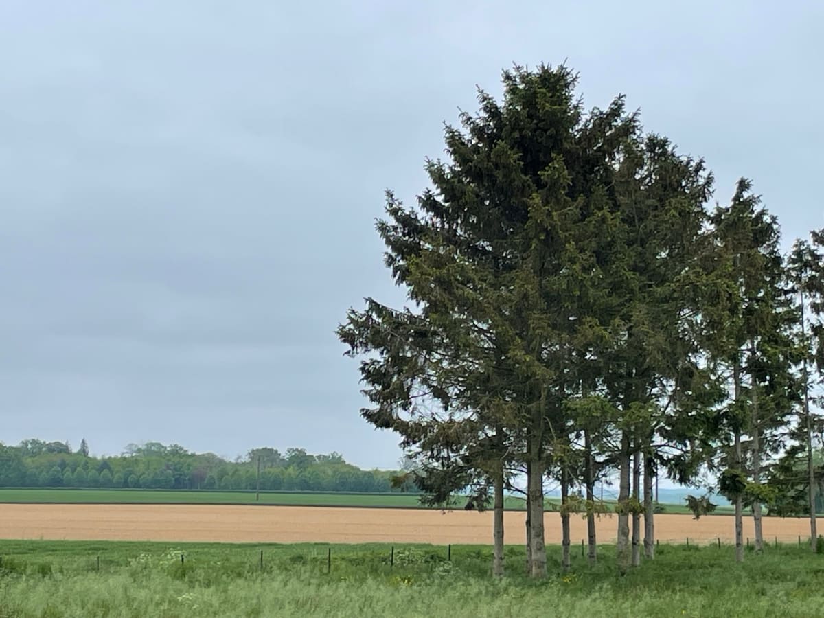 Petite boucle autour de Revelles - Revelles