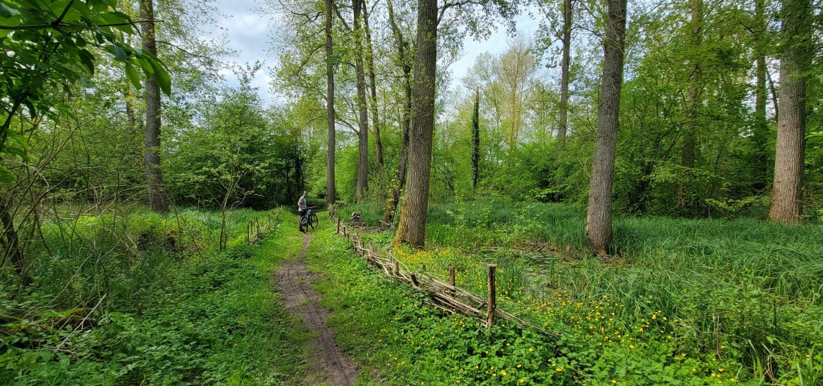 Promenade à VTC autour des marais et de la Somme - Long