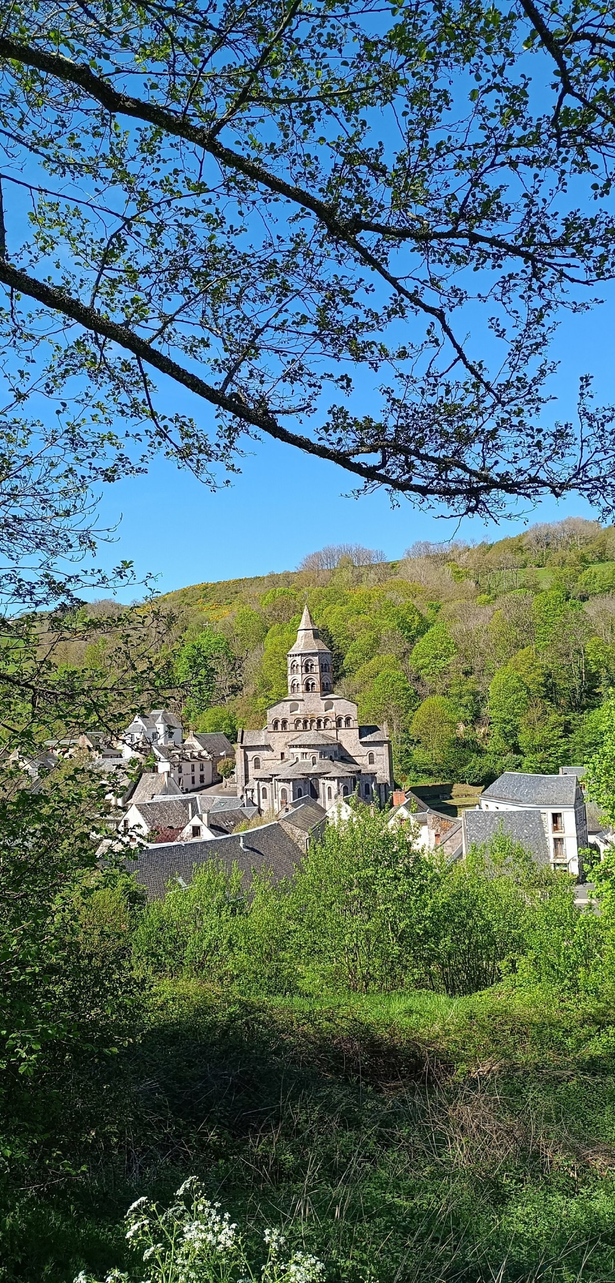 Sortie avec la chaîne des puys comme paysage - Olby