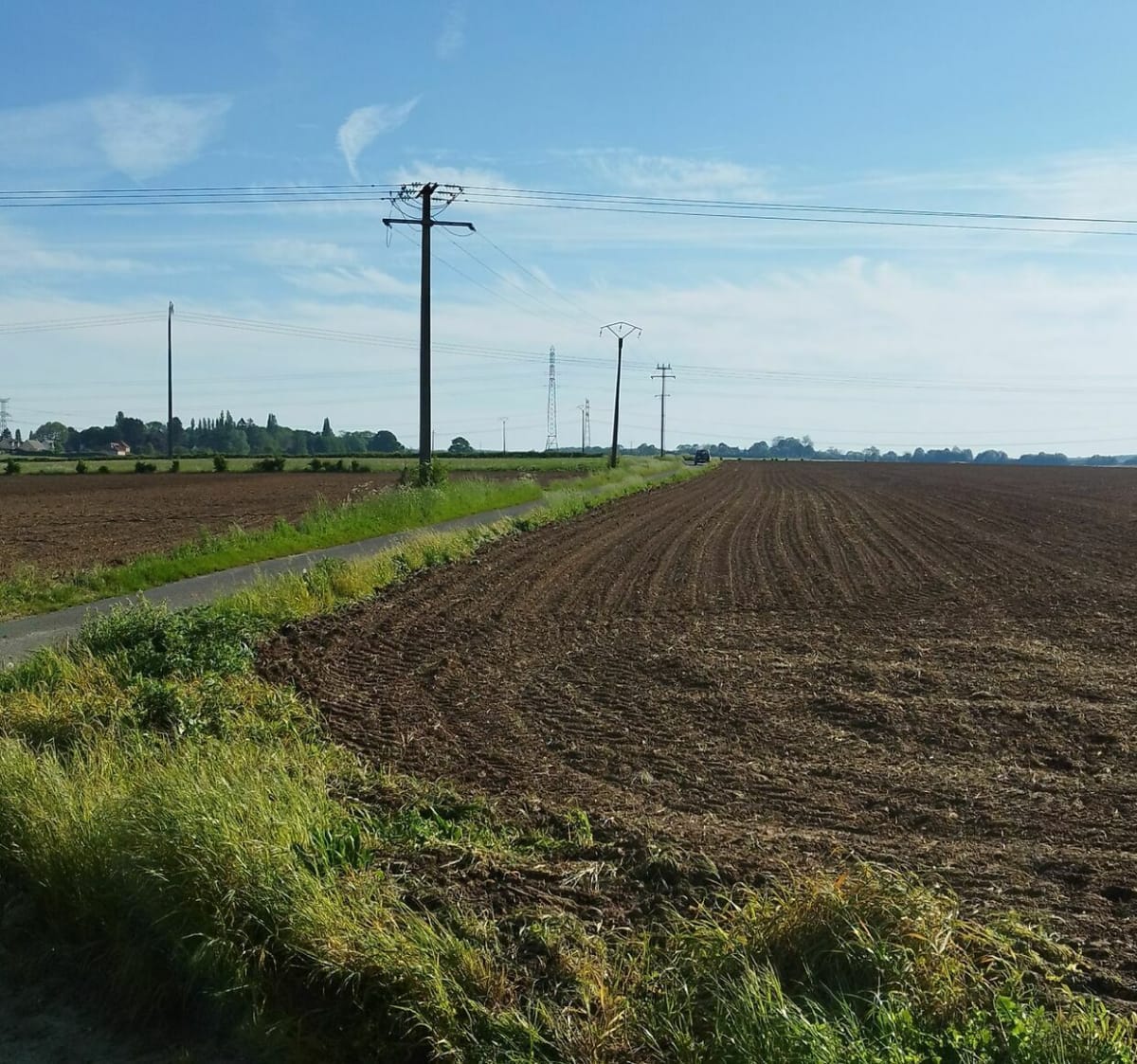 Sortie en Forêt de Thelles - Flavacourt