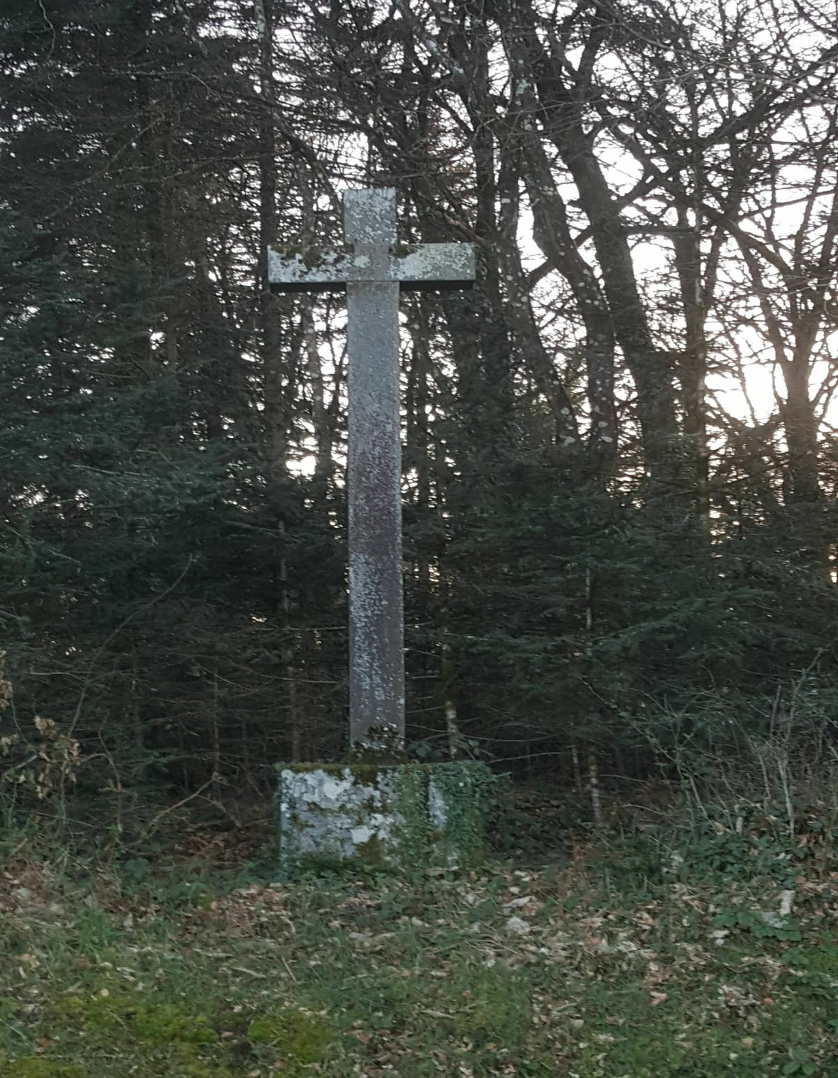 Forêt du Mesnil / La Croix de la Mission / Le Tronchet - Le Tronchet