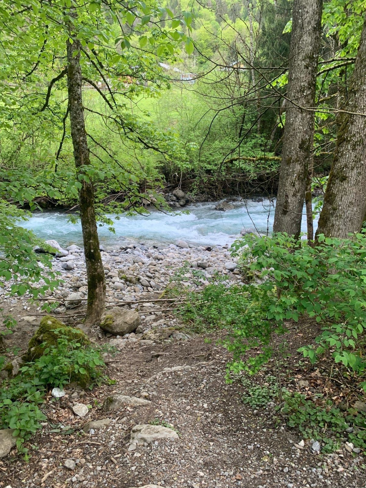 Balade pour se rafraîchir l’été à Saint-Jean-d'Aulps - Saint-Jean-d'Aulps
